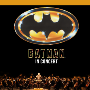 3 600x600WebBoxBatmanSPECb