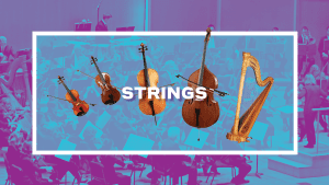 Strings