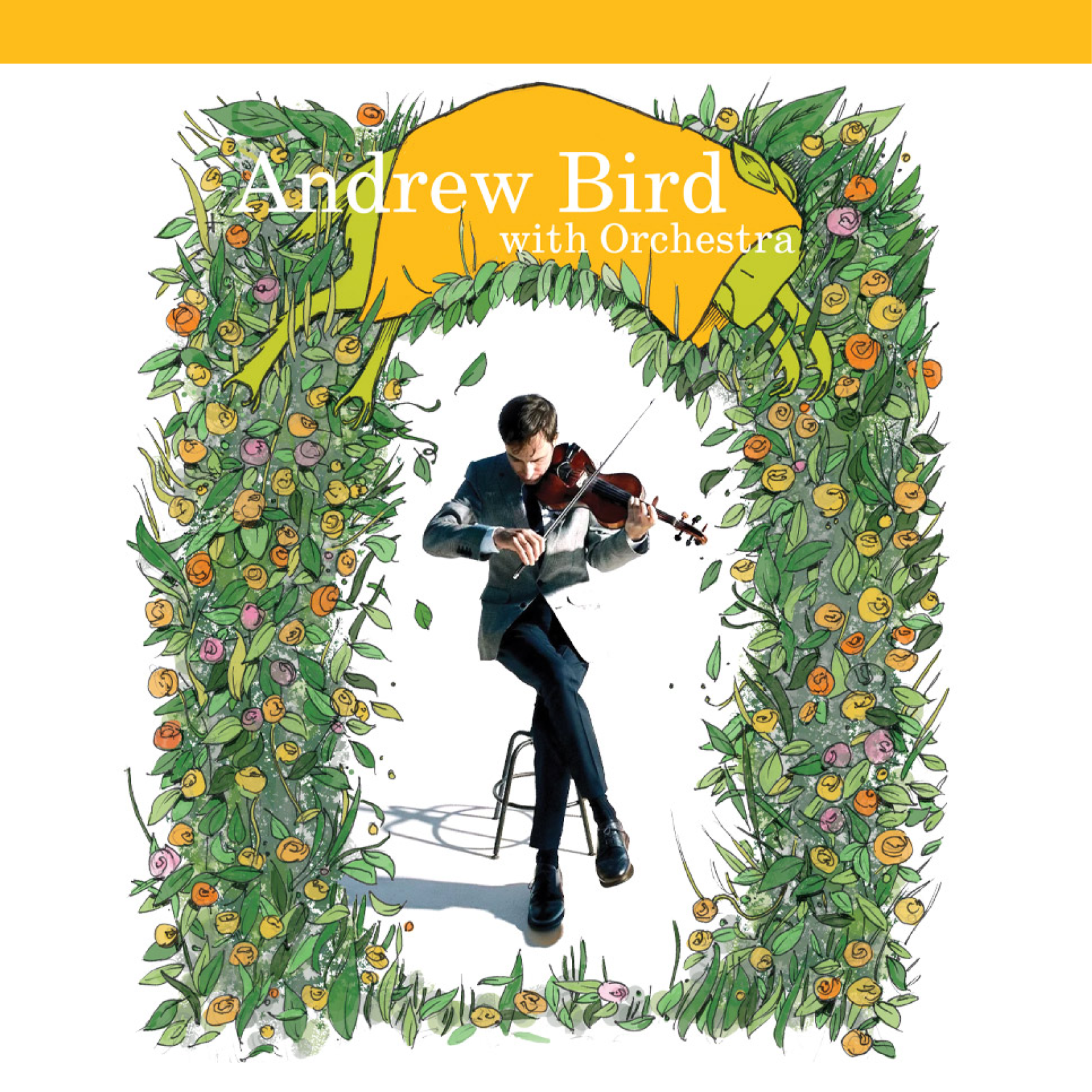 7c 600x600WebBoxABirdSPEC